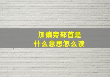 加偏旁部首是什么意思怎么读