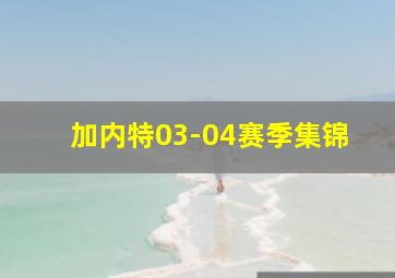 加内特03-04赛季集锦