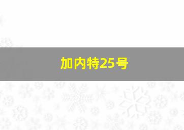 加内特25号