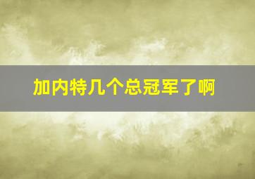 加内特几个总冠军了啊