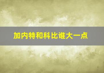 加内特和科比谁大一点