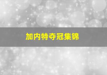 加内特夺冠集锦