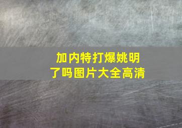 加内特打爆姚明了吗图片大全高清