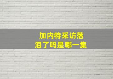 加内特采访落泪了吗是哪一集