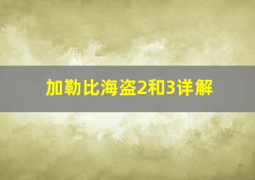 加勒比海盗2和3详解