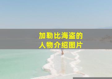 加勒比海盗的人物介绍图片