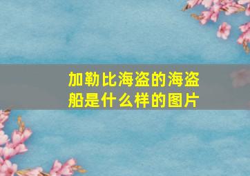 加勒比海盗的海盗船是什么样的图片