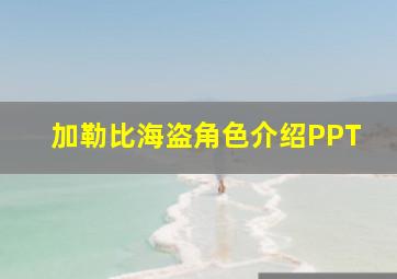 加勒比海盗角色介绍PPT