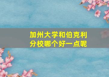 加州大学和伯克利分校哪个好一点呢