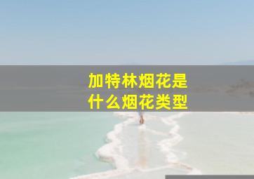 加特林烟花是什么烟花类型