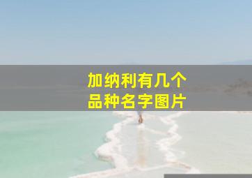 加纳利有几个品种名字图片