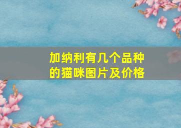 加纳利有几个品种的猫咪图片及价格