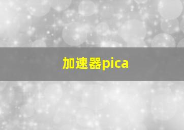 加速器pica