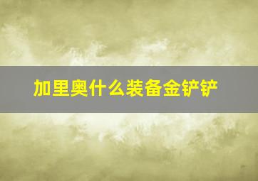 加里奥什么装备金铲铲