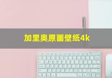 加里奥原画壁纸4k