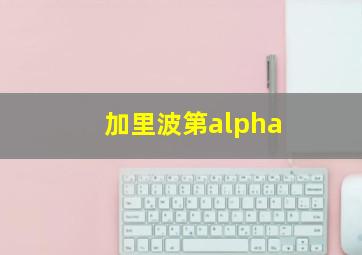 加里波第alpha