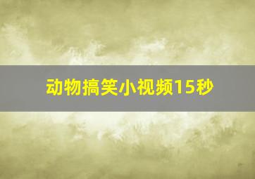 动物搞笑小视频15秒