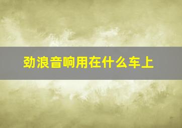 劲浪音响用在什么车上