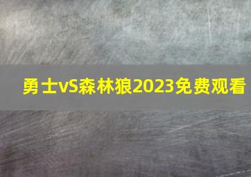 勇士vS森林狼2023免费观看