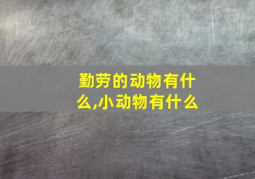 勤劳的动物有什么,小动物有什么