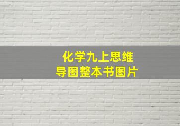 化学九上思维导图整本书图片