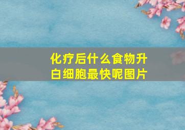 化疗后什么食物升白细胞最快呢图片