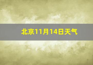 北京11月14日天气