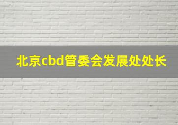 北京cbd管委会发展处处长