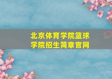 北京体育学院篮球学院招生简章官网