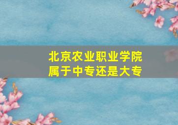 北京农业职业学院属于中专还是大专