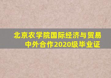 北京农学院国际经济与贸易中外合作2020级毕业证