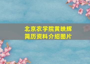 北京农学院黄映辉简历资料介绍图片