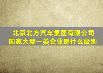 北京北方汽车集团有限公司国家大型一类企业是什么级别