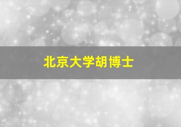 北京大学胡博士