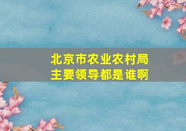 北京市农业农村局主要领导都是谁啊