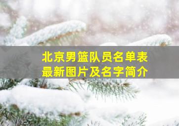 北京男篮队员名单表最新图片及名字简介