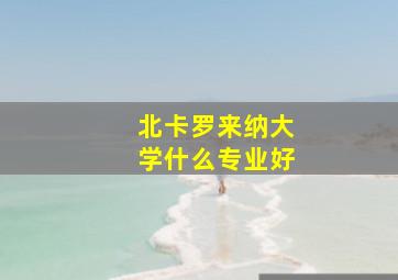 北卡罗来纳大学什么专业好