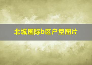 北城国际b区户型图片