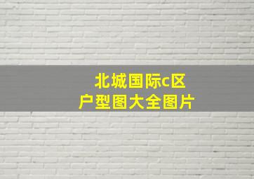 北城国际c区户型图大全图片