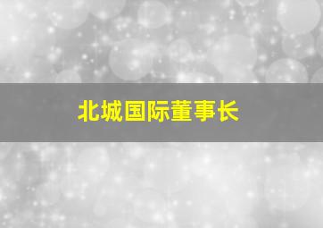 北城国际董事长