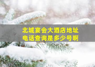 北城宴会大酒店地址电话查询是多少号啊