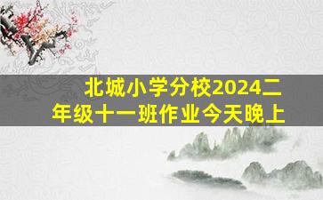 北城小学分校2024二年级十一班作业今天晚上