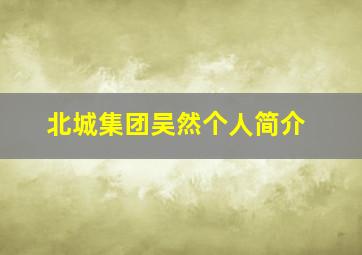 北城集团吴然个人简介