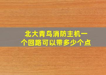 北大青鸟消防主机一个回路可以带多少个点