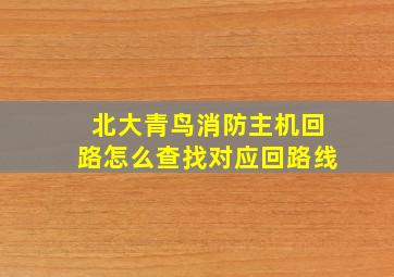 北大青鸟消防主机回路怎么查找对应回路线