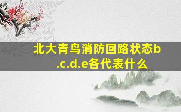 北大青鸟消防回路状态b.c.d.e各代表什么