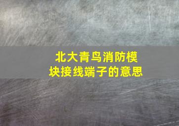 北大青鸟消防模块接线端子的意思