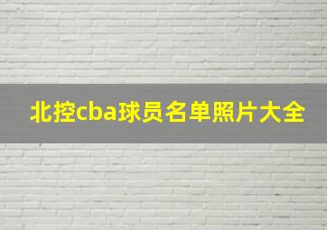 北控cba球员名单照片大全