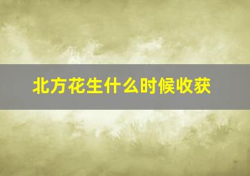 北方花生什么时候收获