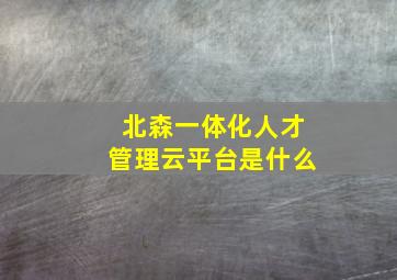 北森一体化人才管理云平台是什么